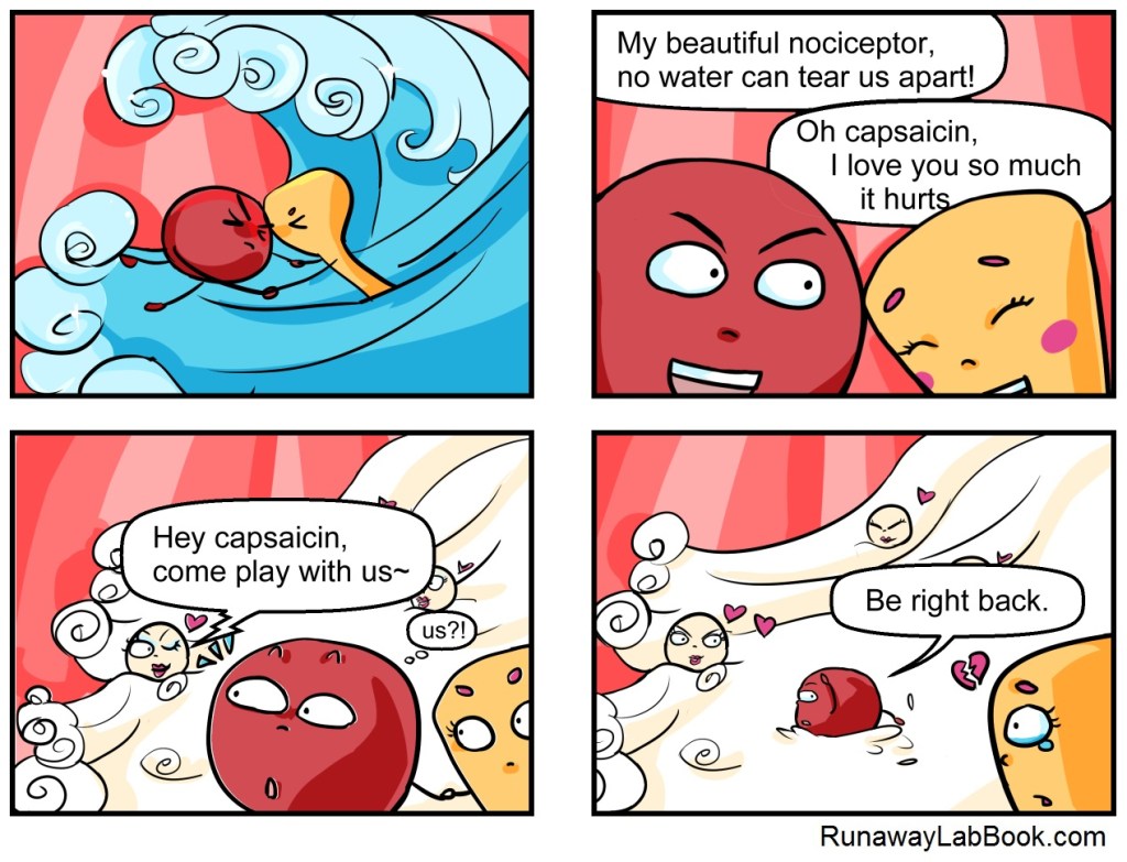 Who could resist&nbsp;…