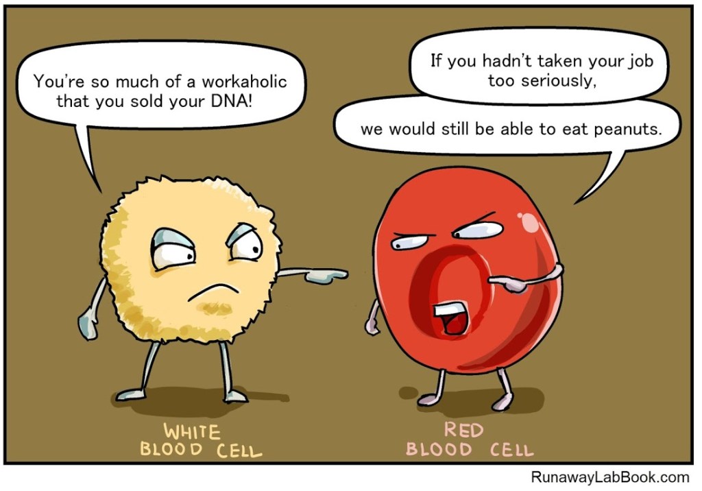 Our cells work so&nbsp;hard
